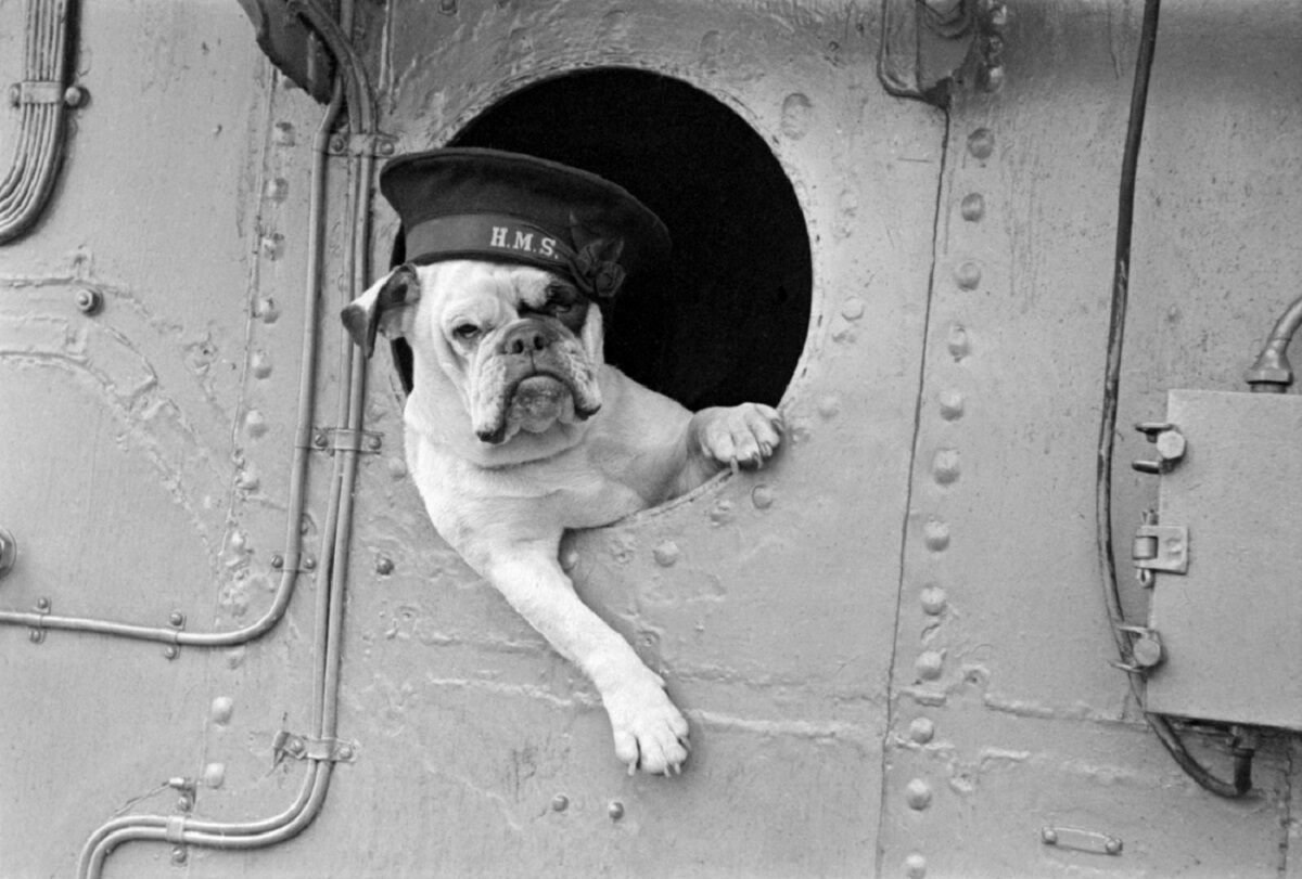 O lado estranho da Segunda Guerra Mundial