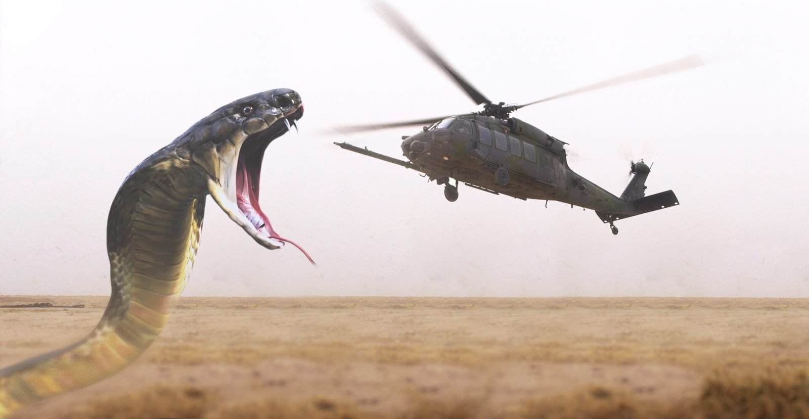helicopterandsnake