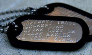 dog-tag