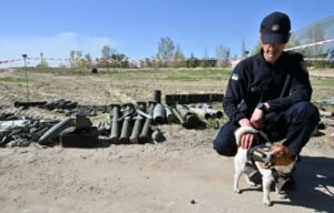 Cão farejador de bombas recebe honras de Estado pelo presidente ucraniano Volodymyr Zelenskyy 1