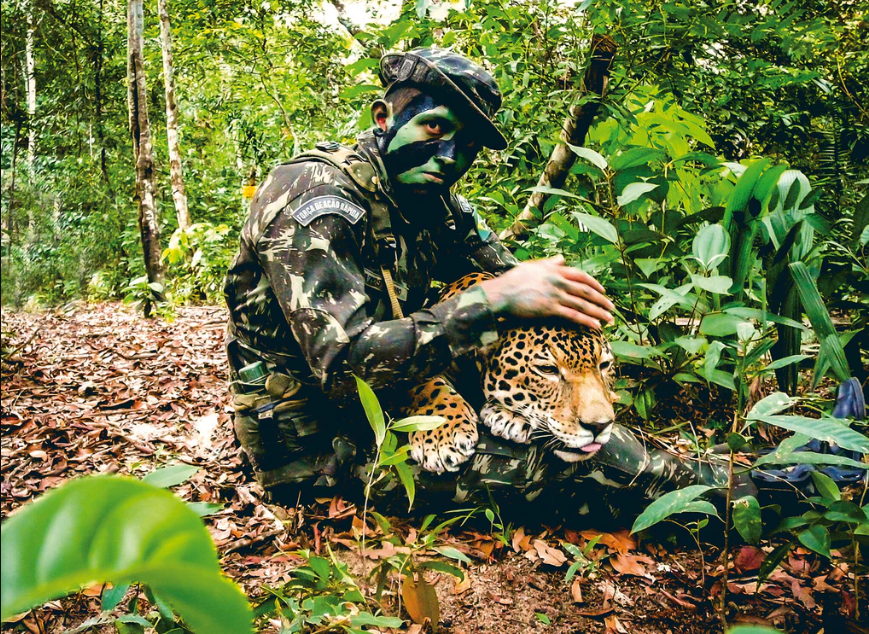 Guerreiros da Selva: Soldados na amozônia com uma onça no colo